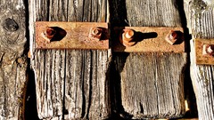 Wood deviantart rust HDR