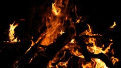 Wood fire black background