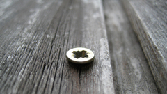 Wood monochrome screw