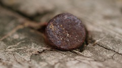 Wood rust nails (fastener)