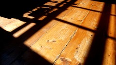 Wood silhouettes shadows sunlight HDR Photography