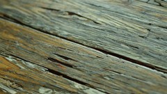 Wood texture