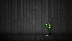 Wood Textures Plants