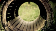 Wood tunnels