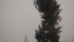 Wood Turkey Istanbul