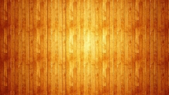 Wood wood texture