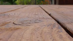 Wood wood texture deck