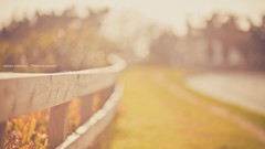 Wooden fence fences bokeh sunlight