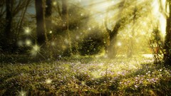 Woods Enchanted Fairies (movie)