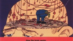 Work brain your brain