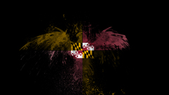 Work flag high anon maryland This hey does