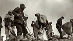 Working on The levee