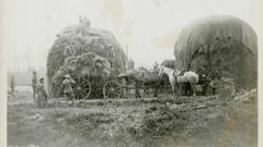 World war i monochrome