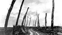 World war i world war