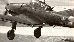 World War II Junkers Ju-87 Stuka vintage military aircraft