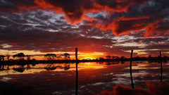 World wonderful nature