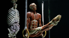 Worlds The body mir dumping however rperwelten