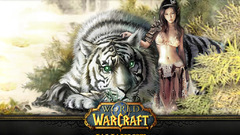 Wow game World warcraft