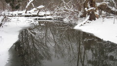 Wowwas just stopping by