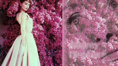 Wp audrey hepburn