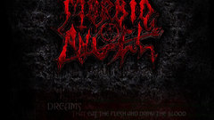 Wp morbid angel they