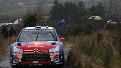 Wrc Loeb