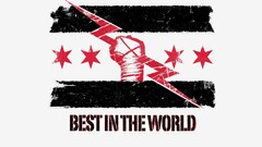 Wrestling logos cm punk WWE World Wrestling Entertainment