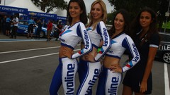 Wtcc Grid Girls