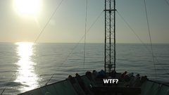 WTF found noaa scientist