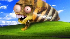 WTF funny bees