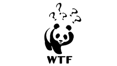 WTF panda bears digital