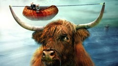 WTF ships funny Cows