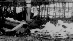 WW ripped some zombies