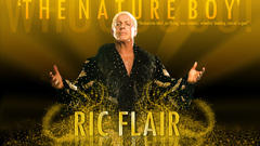 WWE World Wrestling Entertainment