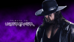 Wwe World wrestling entertainment