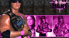 Wwe World wrestling entertainment