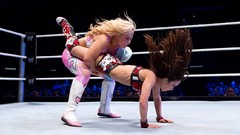 WWE World Wrestling Entertainment