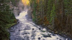 Wyoming falls national park yellowstone