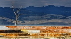 Wyoming mammoth terrace national park yellowstone hot springs 