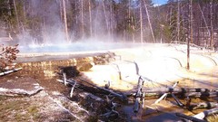 Wyoming Parks yellowstone