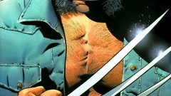 X-Men wolverine fantasy art