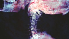 X-ray skulls outer space skeletal cosmic