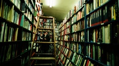 Xandersphoto oc took This