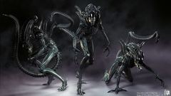 Xenomorph Aliens movie