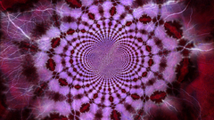 Xortvex self shooped rate