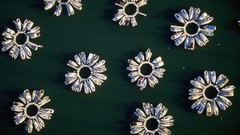 Yachts Chicago Harbor vehicles illinois