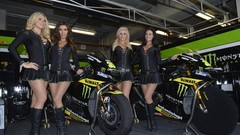 Yamaha Miss Moster Grid Girls