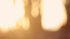 Yellow abstract bokeh blurred sunlight minimalistic