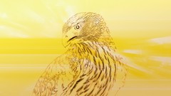 Yellow Animals Birds abstract deviantart falcon bird