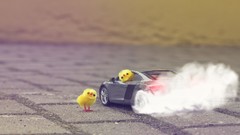 Yellow Audi smoke Chickens audi r8 fun burn